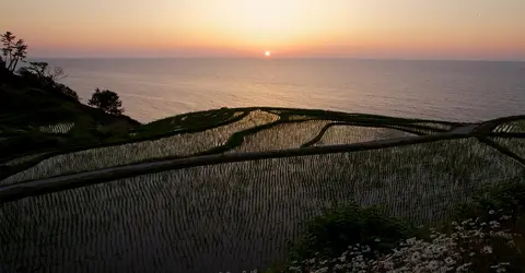 Rice terraces at sunset