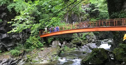 Chemin de randonnée à Gandate Chaya, près de Takayama Chemin de randonnée à Gandate Chaya, près de Takayama