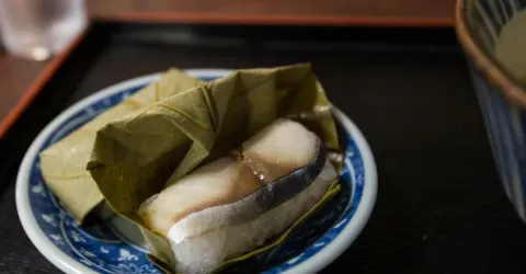 Kakinoha-zushi : le sushi enveloppé d'une feuille de kaki