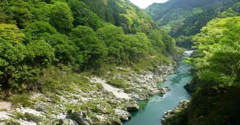 Les gorges d'Oboke (préfecture de Tokushima)