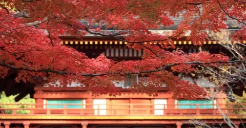 Les couleurs du Muro-ji à l'automne.