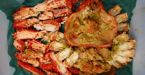 Crabe Hanasaki