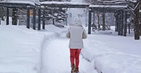 Découvrez tous nos conseils pour visiter le Japon à la saison froide !