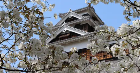 Au printemps, les cerisiers près du château fleurissent Au printemps, les cerisiers près du château fleurissent