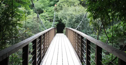 Le pont suspendu Le pont suspendu