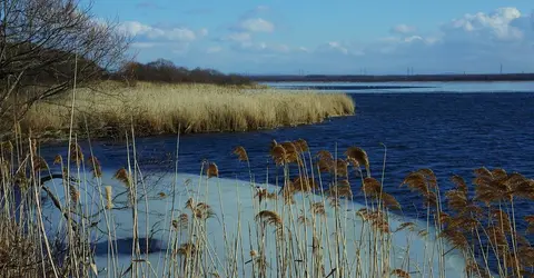 Lake Utonai, one of the largest wetlands in Japan Lake Utonai, one of the largest wetlands in Japan