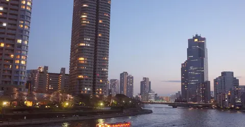 Le soir au printemps, entre buildings et cerisiers