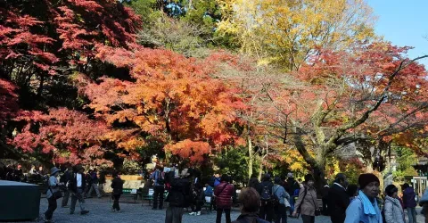 L'automne au mont Takao