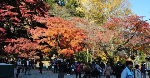 L'automne au mont Takao L'automne au mont Takao