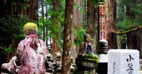 Koyasan est l'une des destinations les plus prisées en matière de retraite spirituelle au Japon
