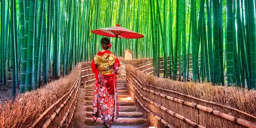 La bambouseraie d'Arashiyama : l'un des incontournables pour toute visite de Kyoto