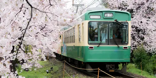 Imaginez que vous prenez le train avec les cerisiers en fleurs...
